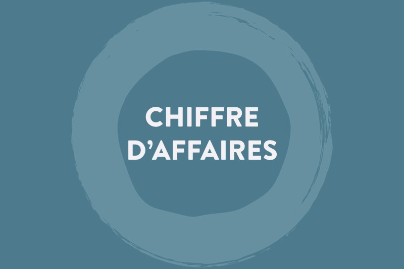 Communiqué de presse - Chiffre d'affaires 2024